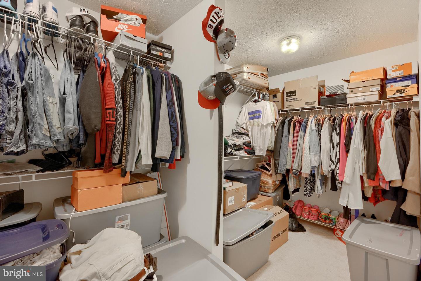 10017 Wamsley Ct