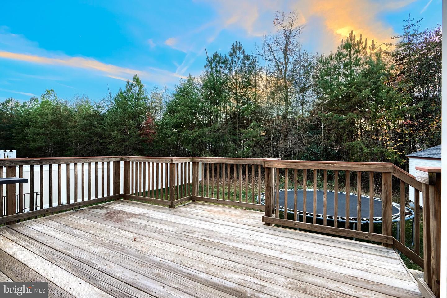 10017 Wamsley Ct