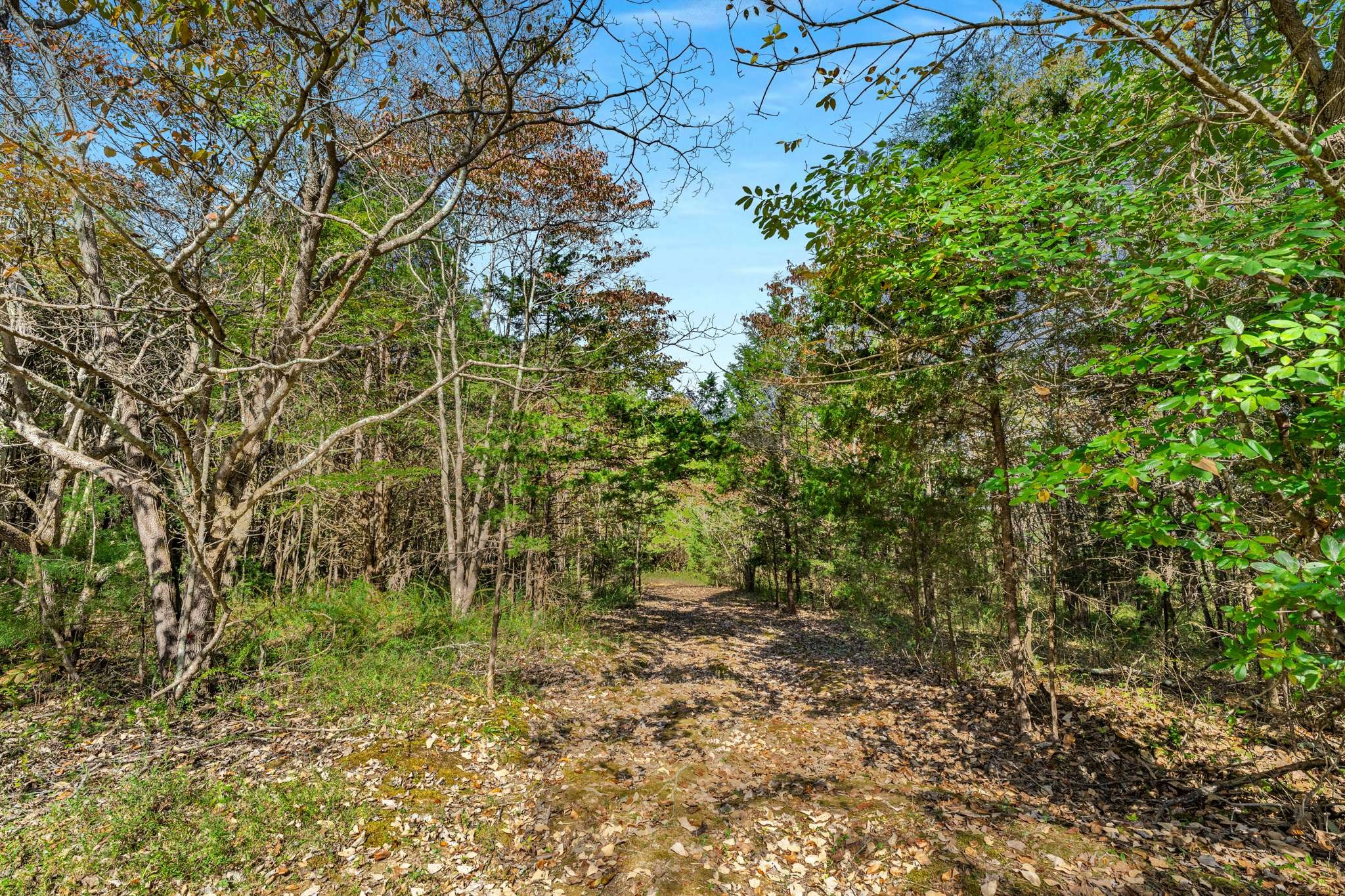 1257 Harris Hollow Rd