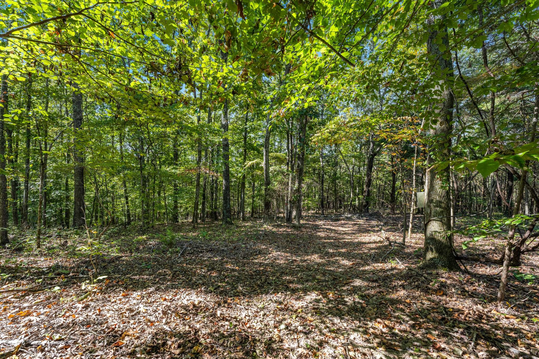 1257 Harris Hollow Rd