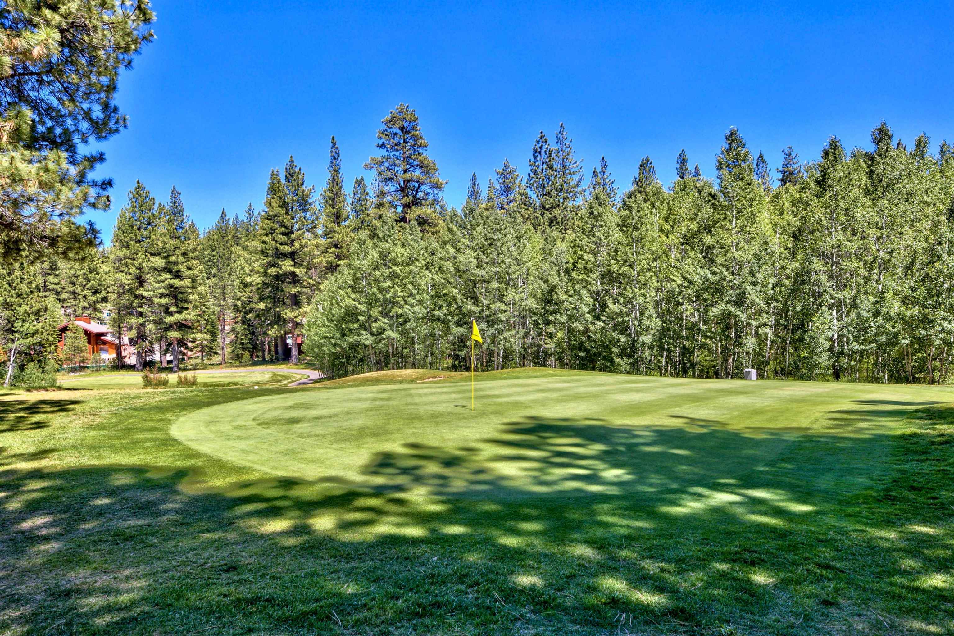 415 Lodgepole