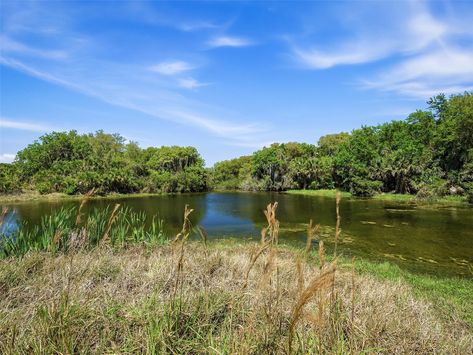 387 MARSH LANDING LOOP