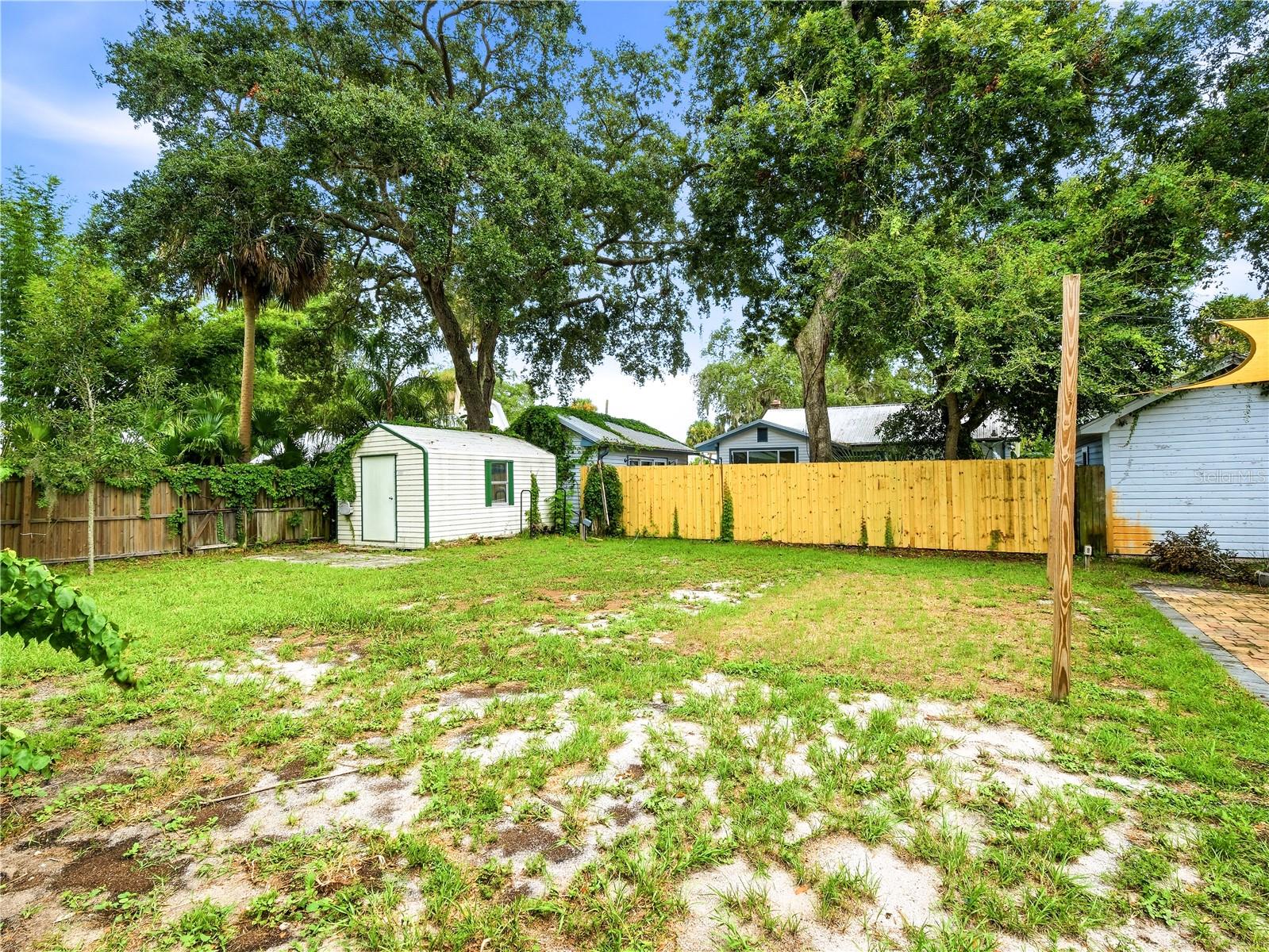 813 LIVE OAK ST