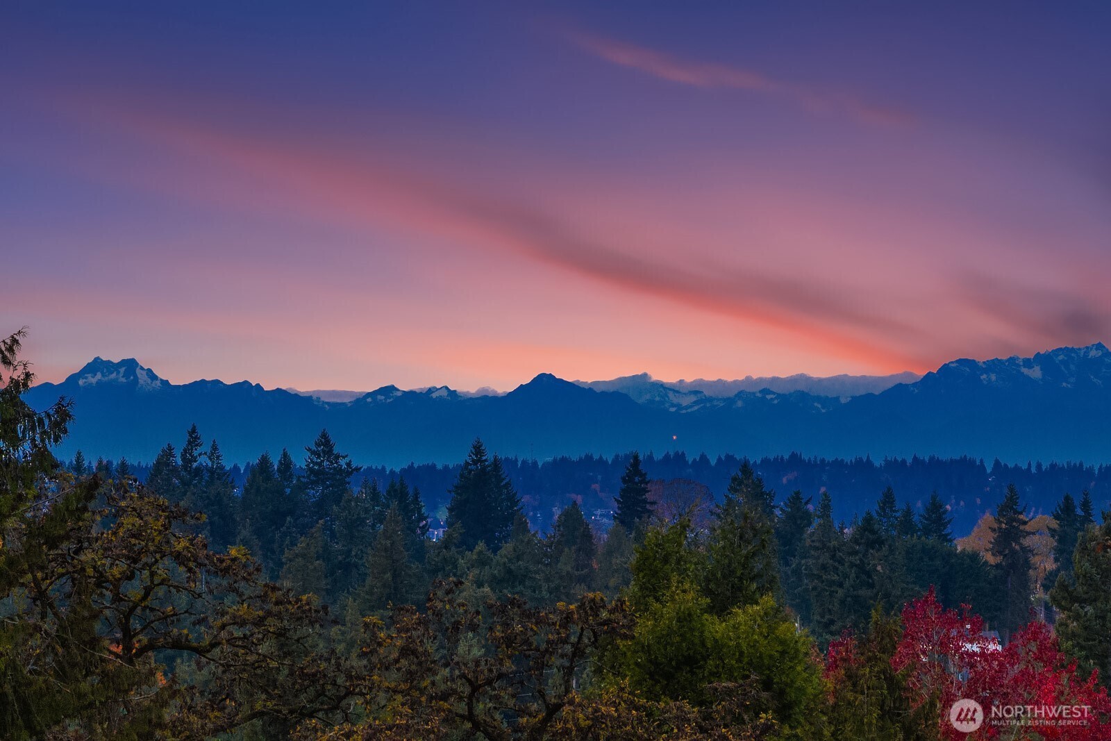 9647 Observation Drive