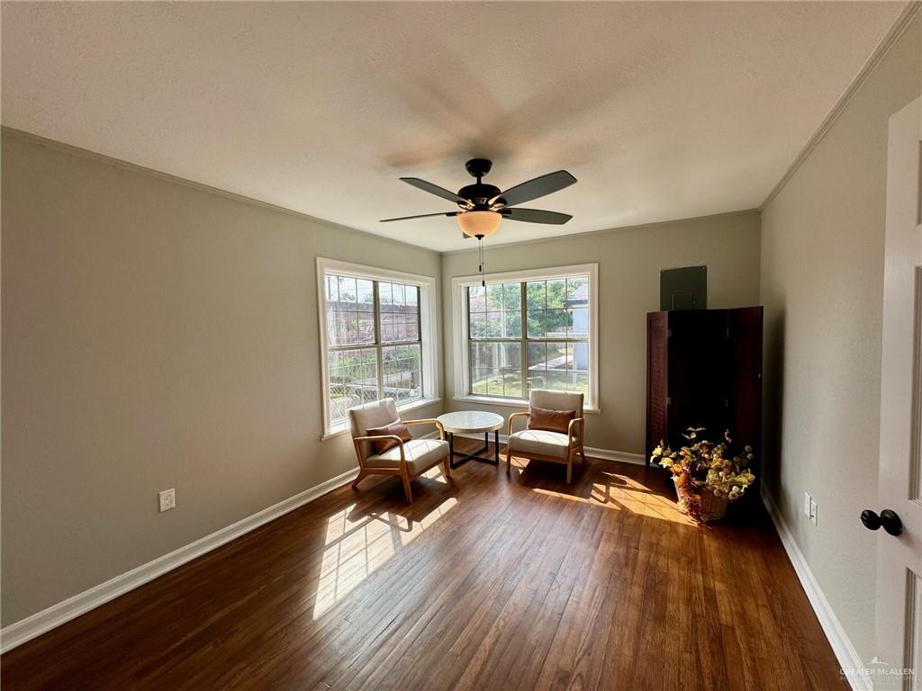 1317 Nyssa Avenue, McAllen