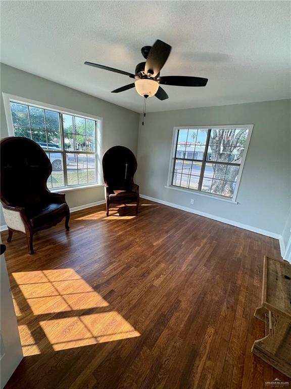 1317 Nyssa Avenue, McAllen
