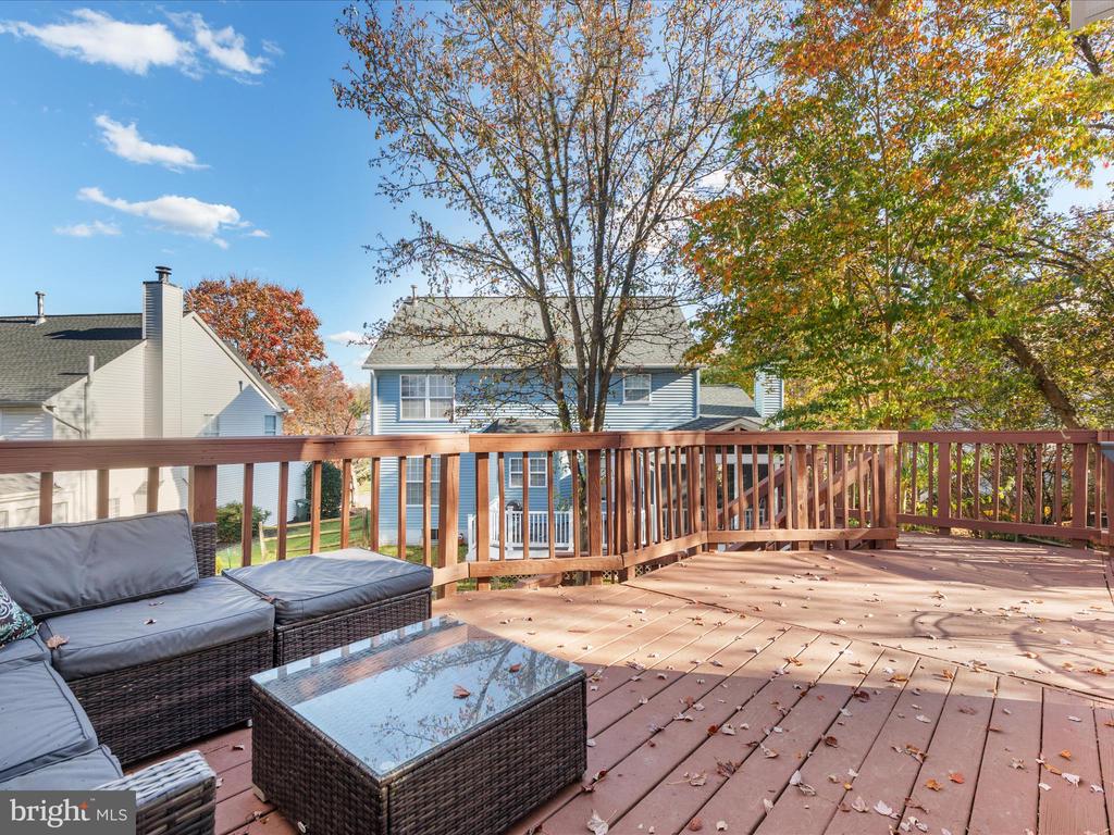 46427 Thornwood Ct