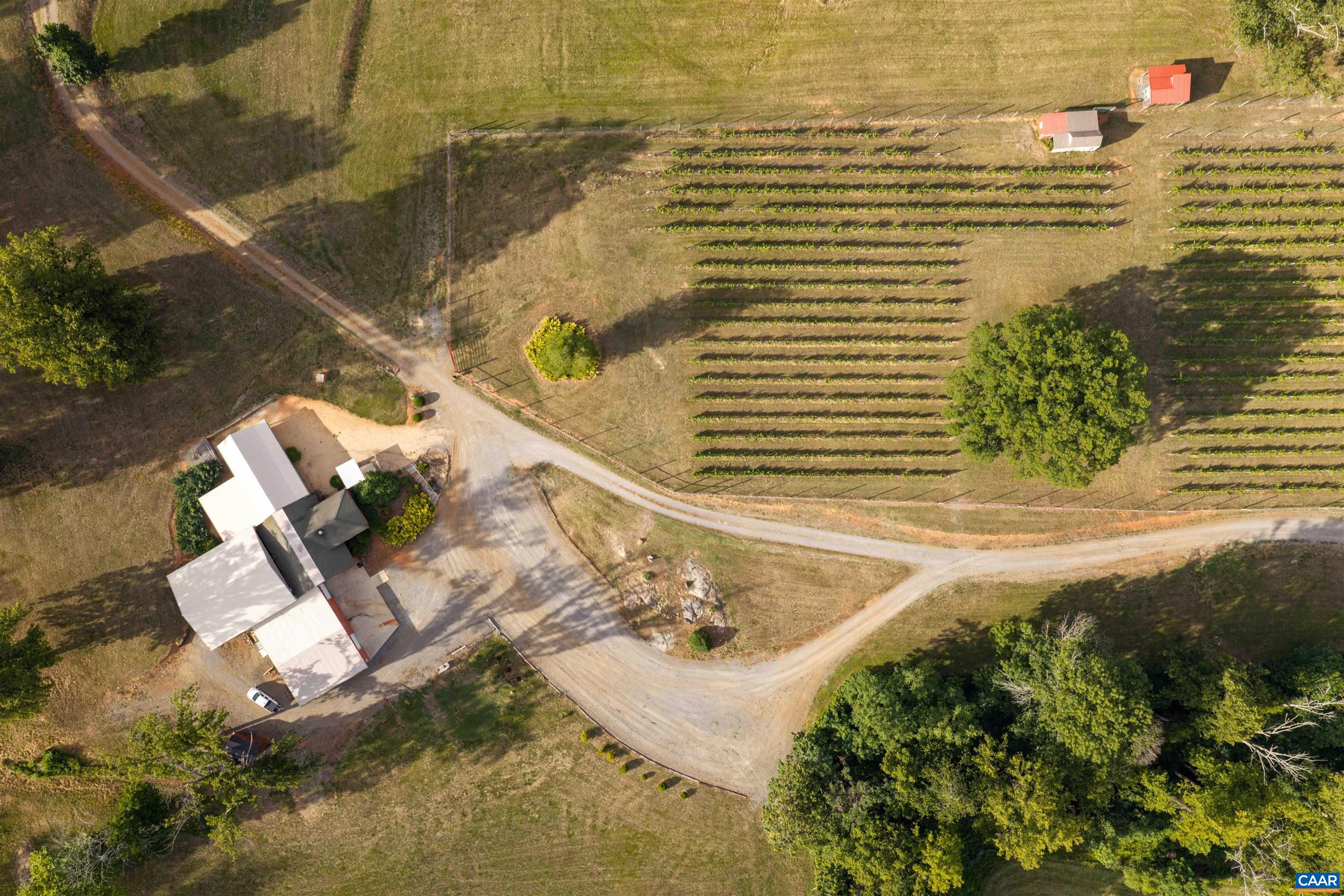 3613 WALNUT BRANCH LN