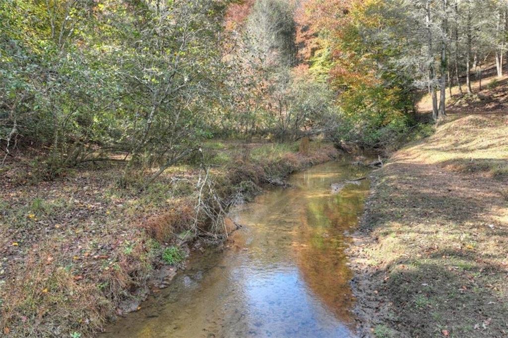575 Carson Cove Road