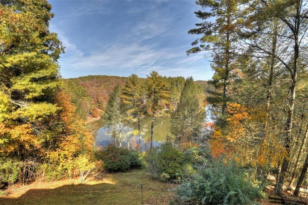 575 Carson Cove Road