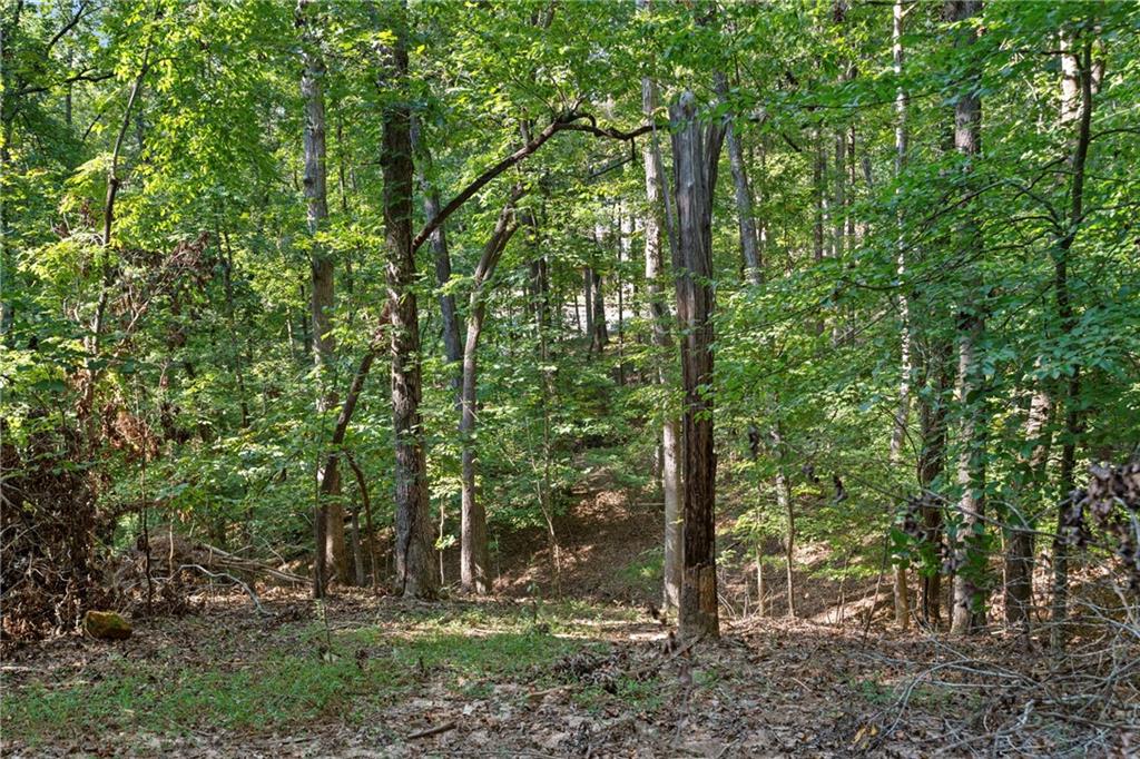 6314 Point Twenty Two