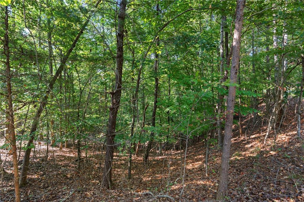 6314 Point Twenty Two