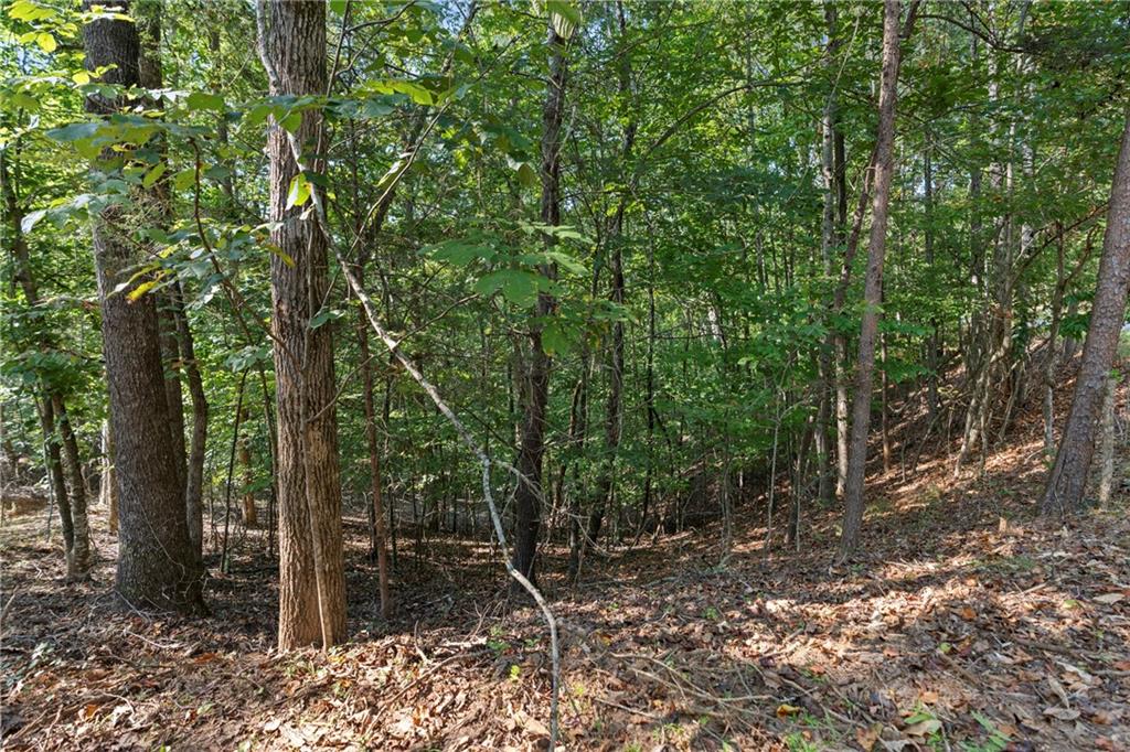 6314 Point Twenty Two