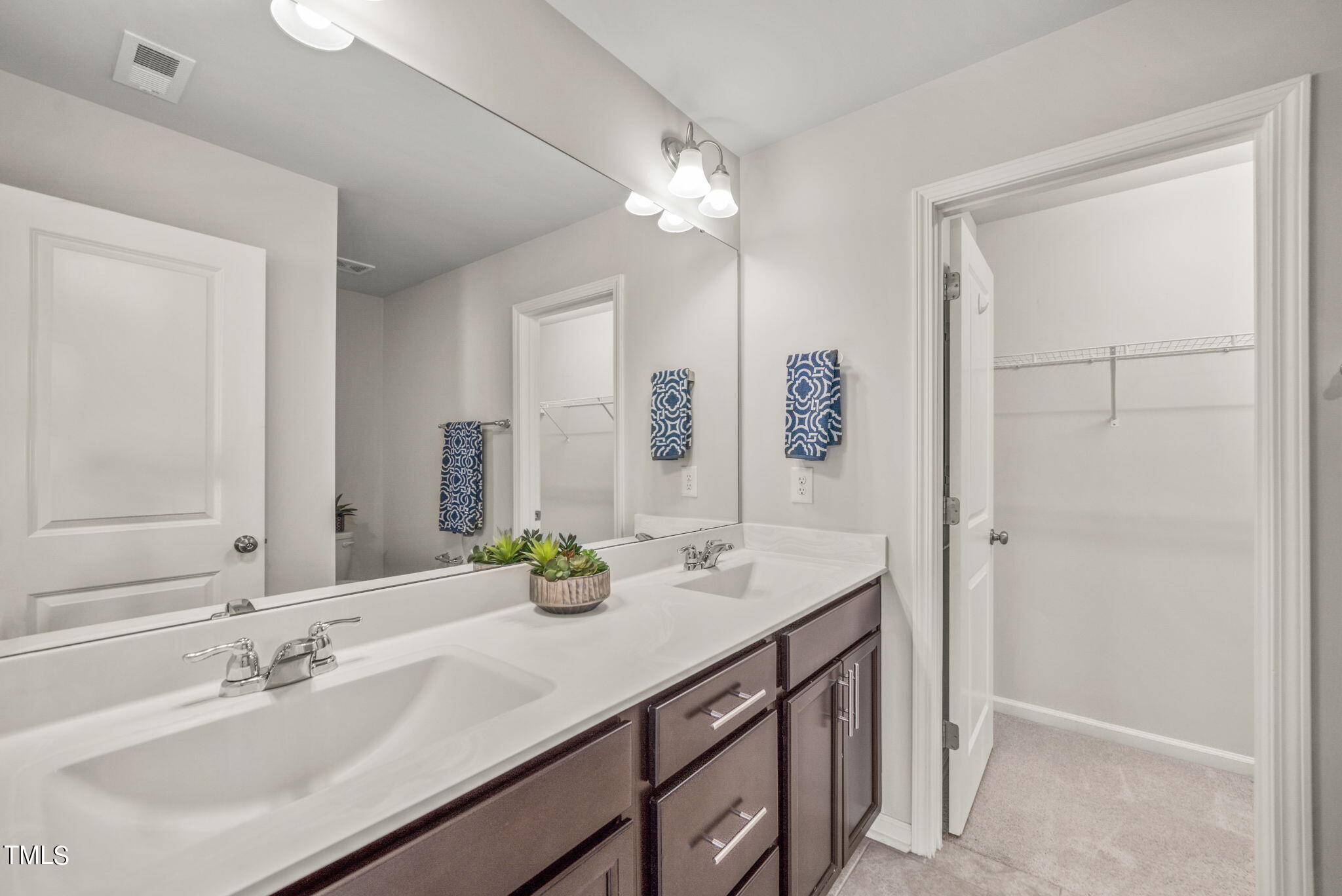 717 Shining Ray Lane