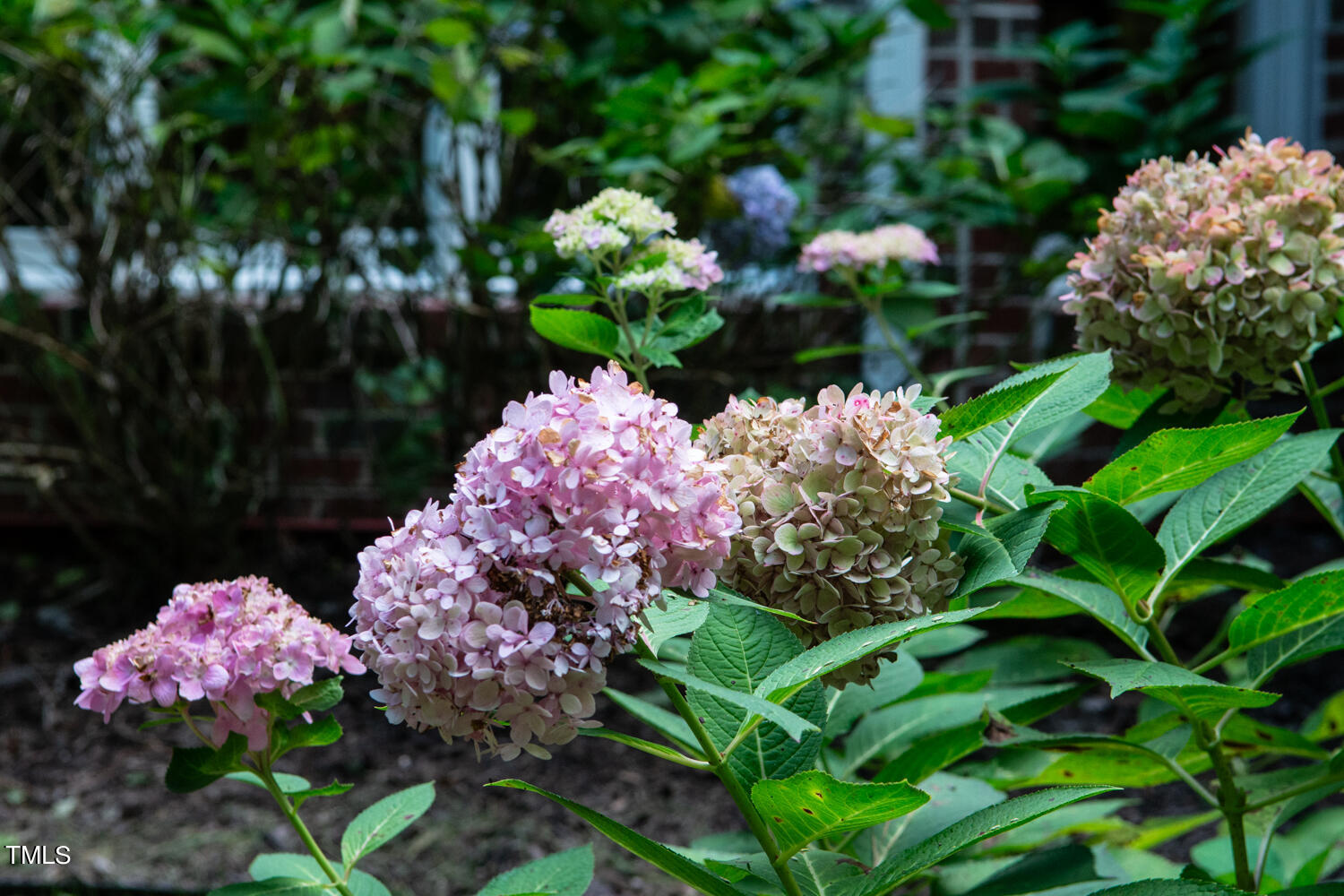 7724 Serenity Lake Drive