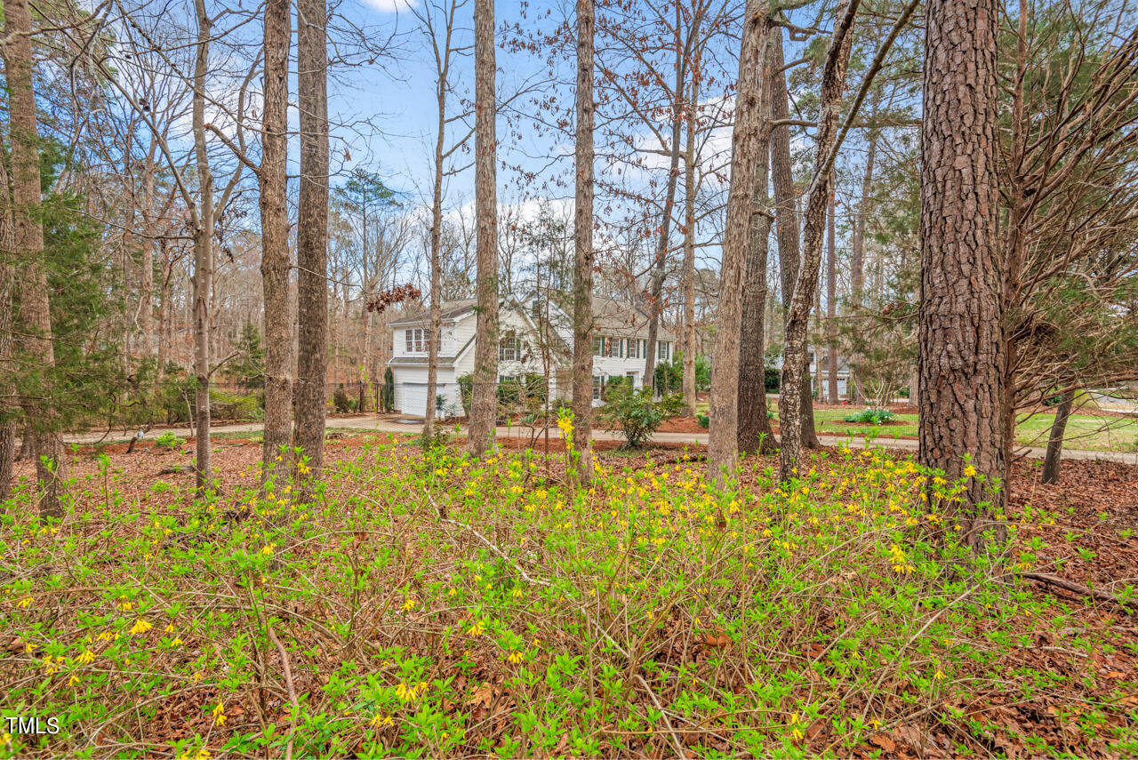 204 Longwood Drive