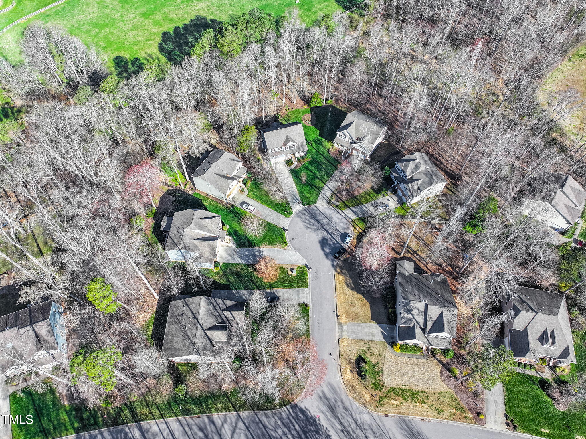 115 Alderberry Court