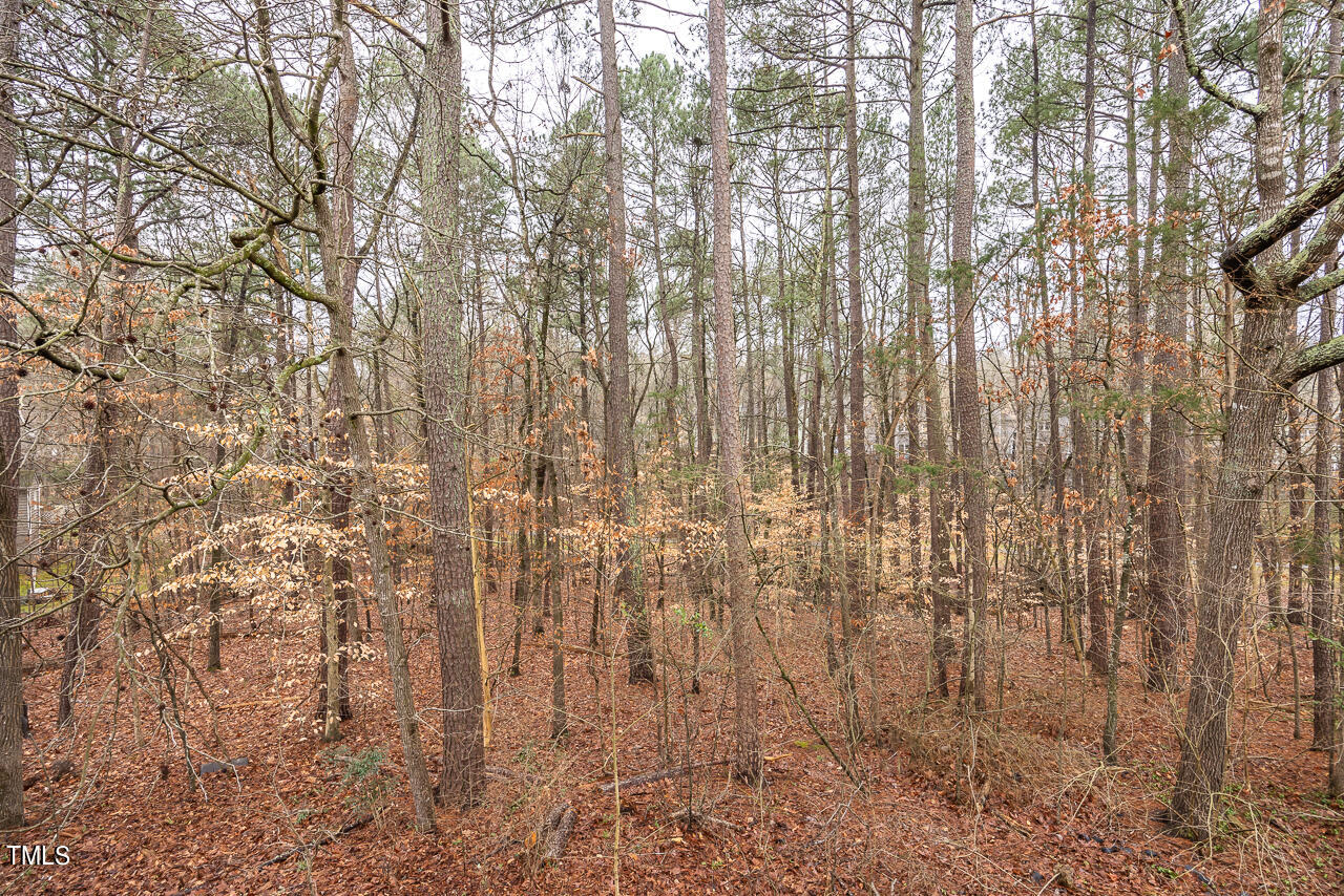 3704 Chimney Ridge Place # 104