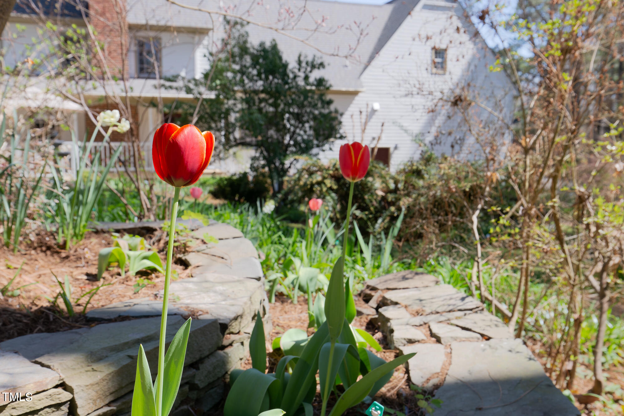 102 Sturbridge Lane