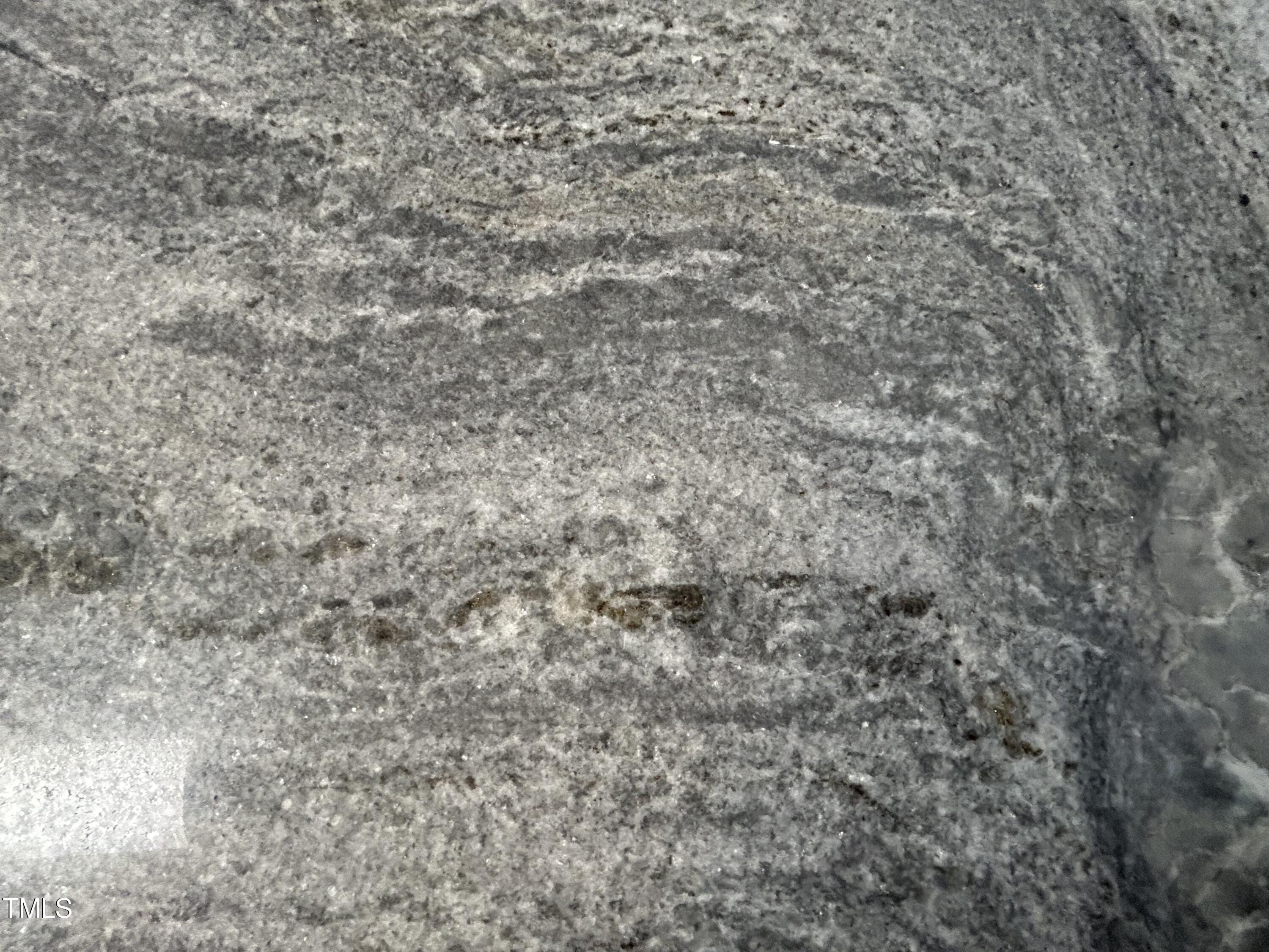 1532 Arboretum Drive