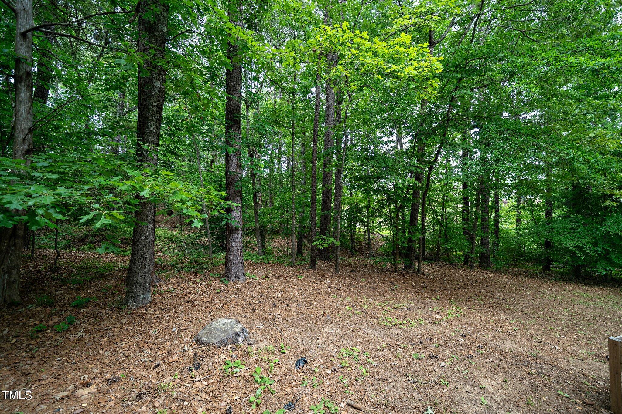 3903 Sturbridge Drive