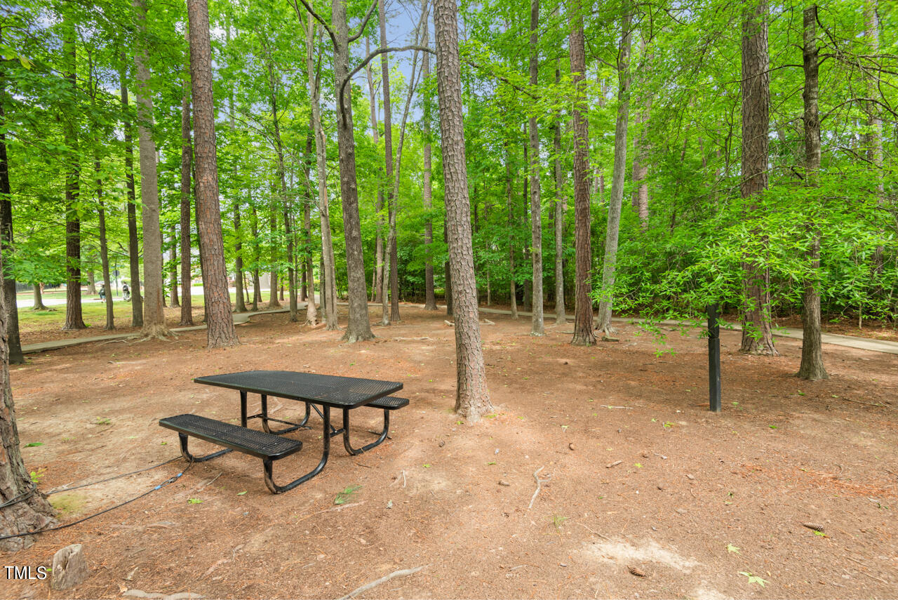 202 Pitch Pine Lane