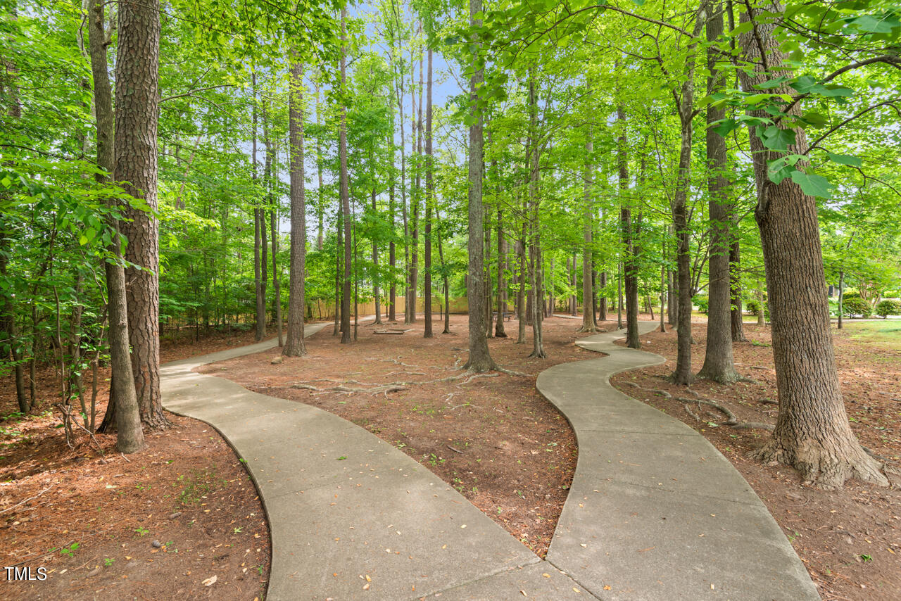 202 Pitch Pine Lane