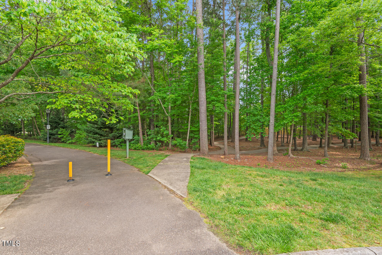 202 Pitch Pine Lane