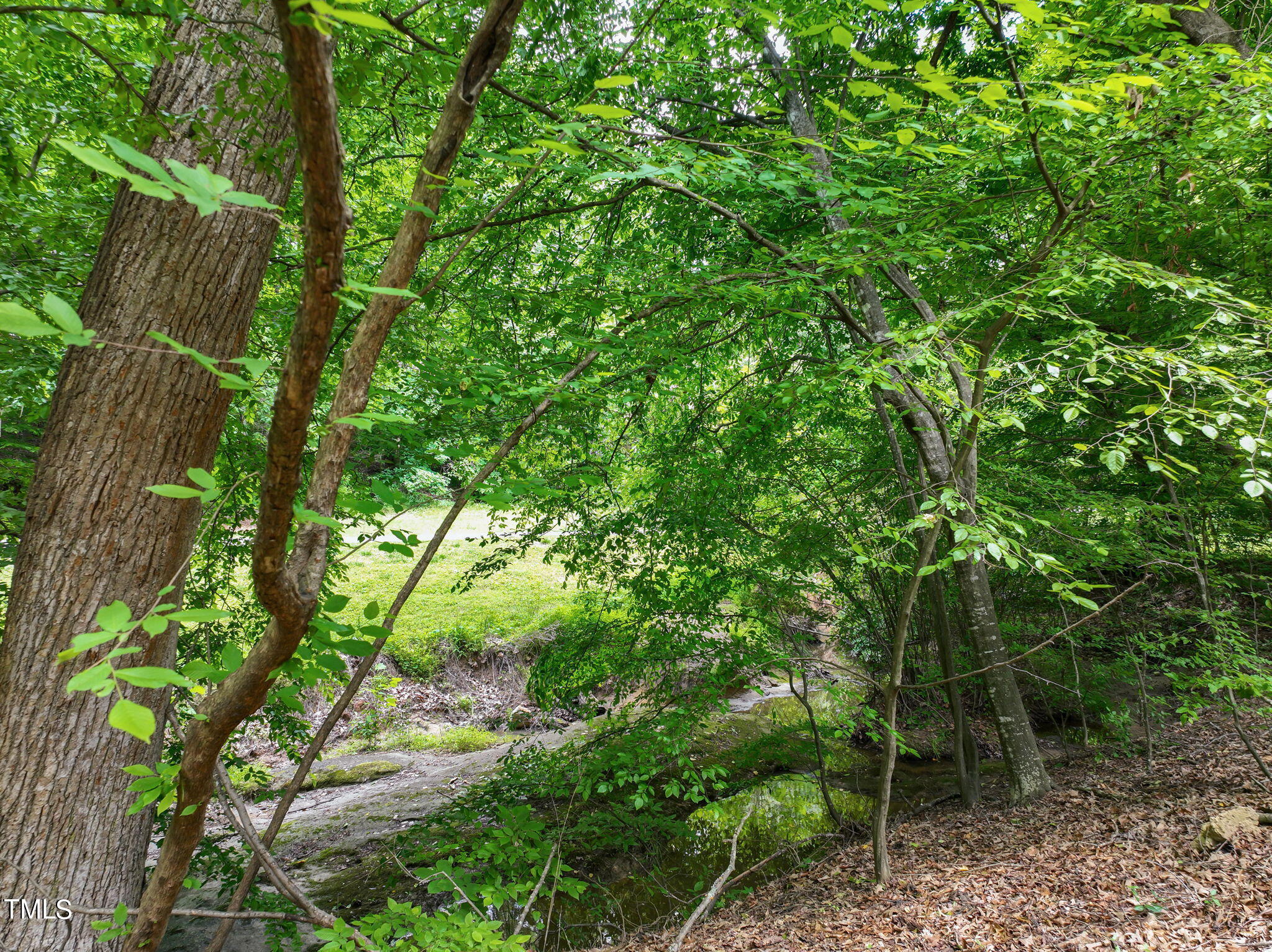 142 Long Shadow Place