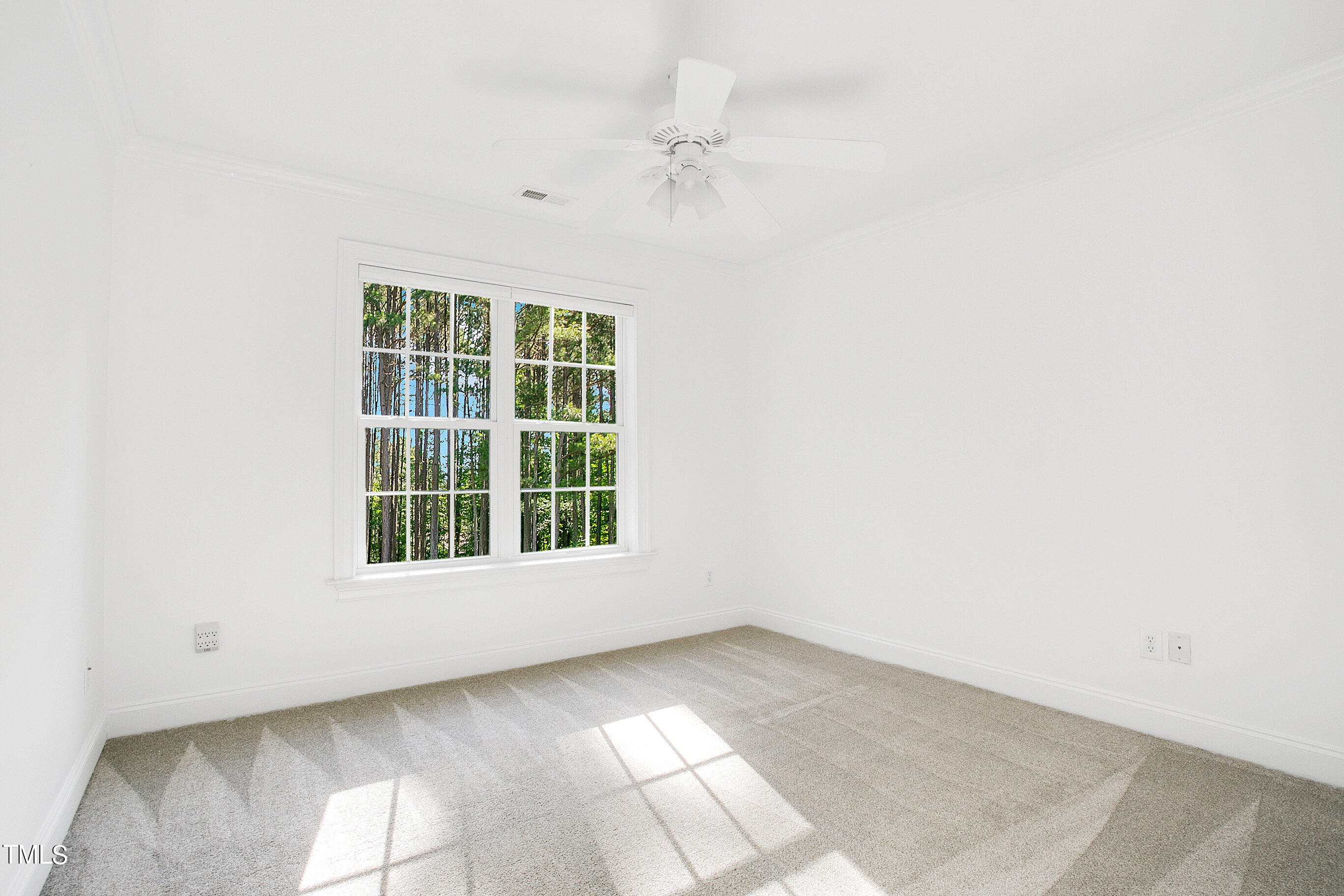 95 Fleming Forest Drive
