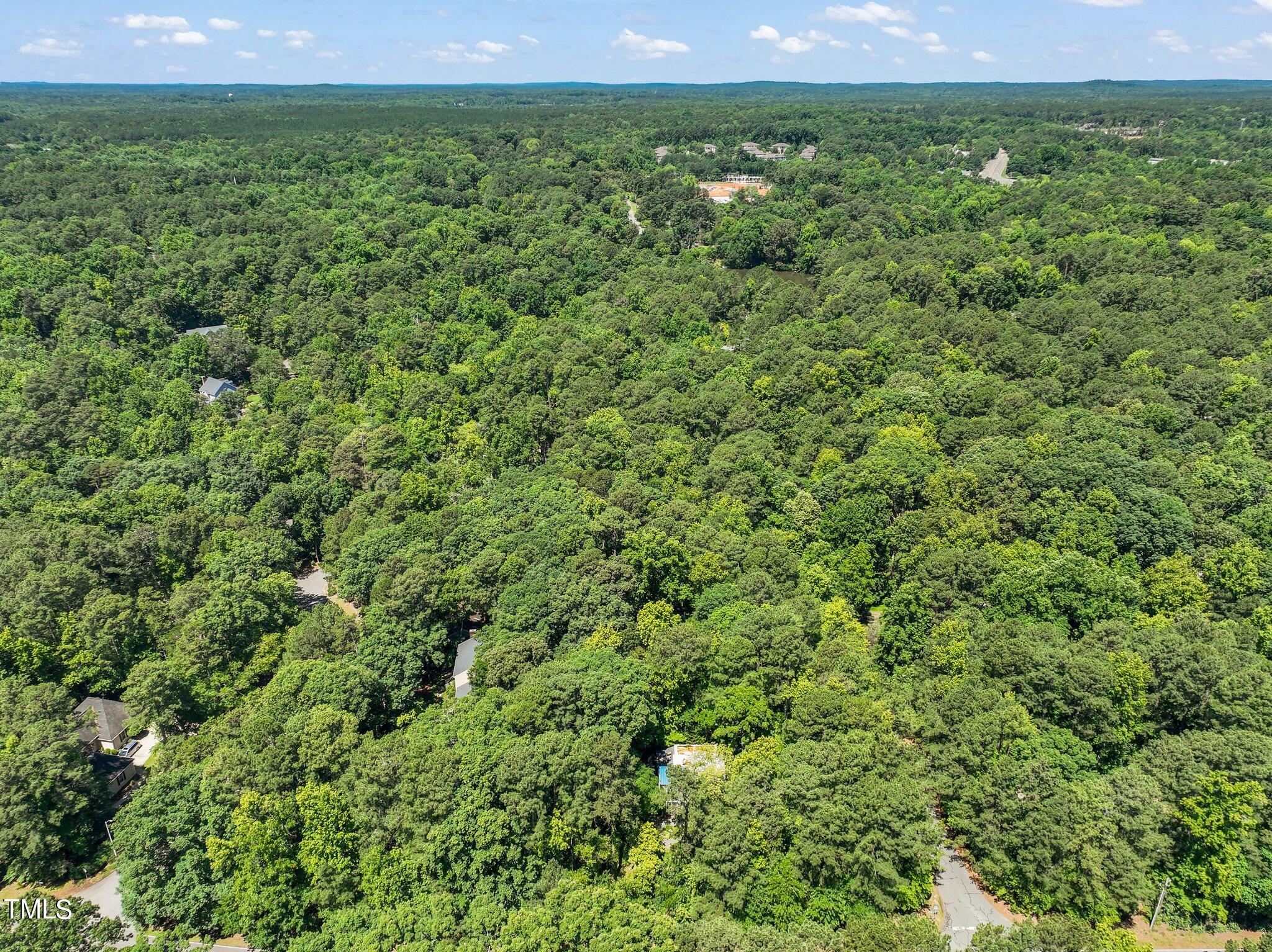 168 Lake Ellen Drive