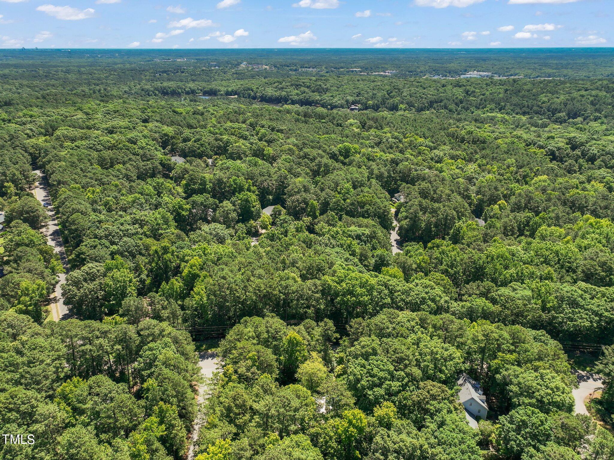 168 Lake Ellen Drive