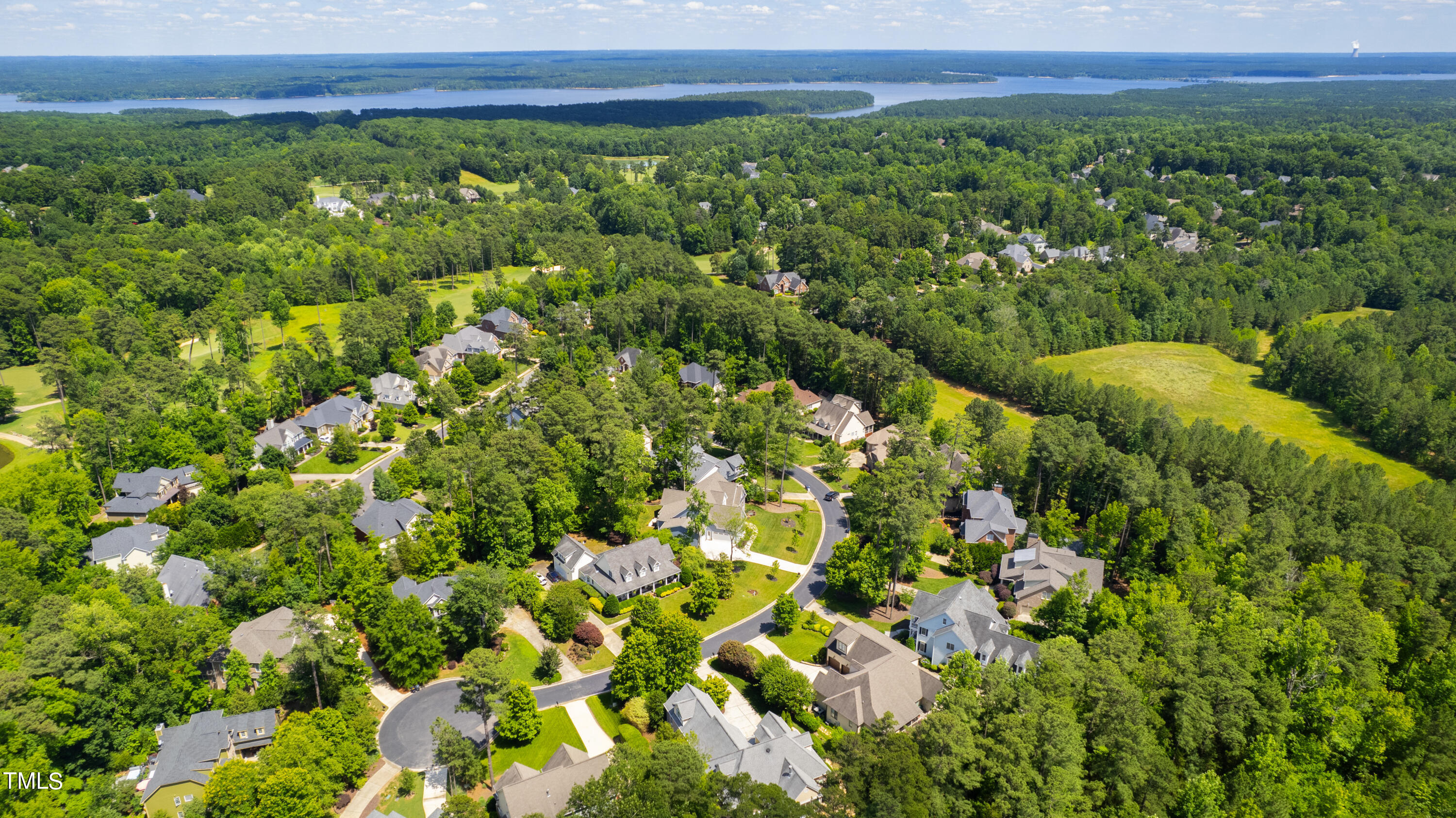 109 Forked Pine Court