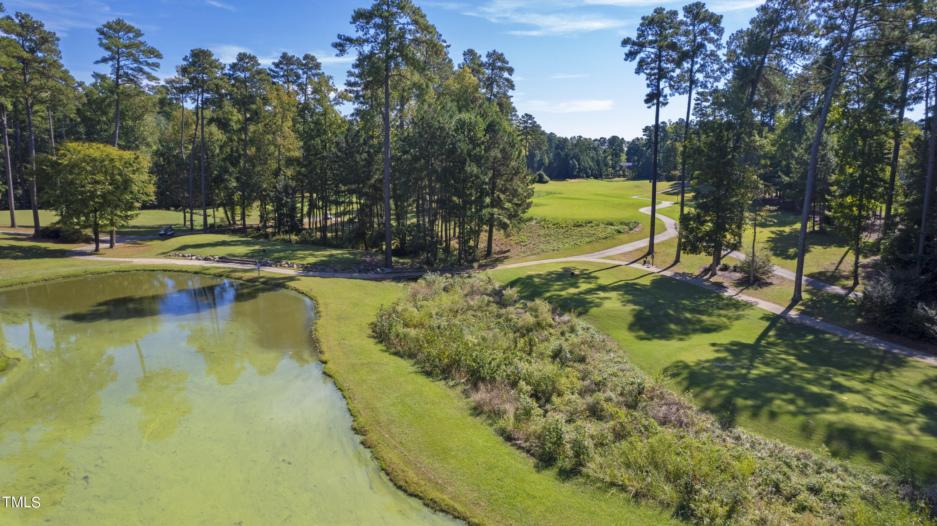 109 Forked Pine Court