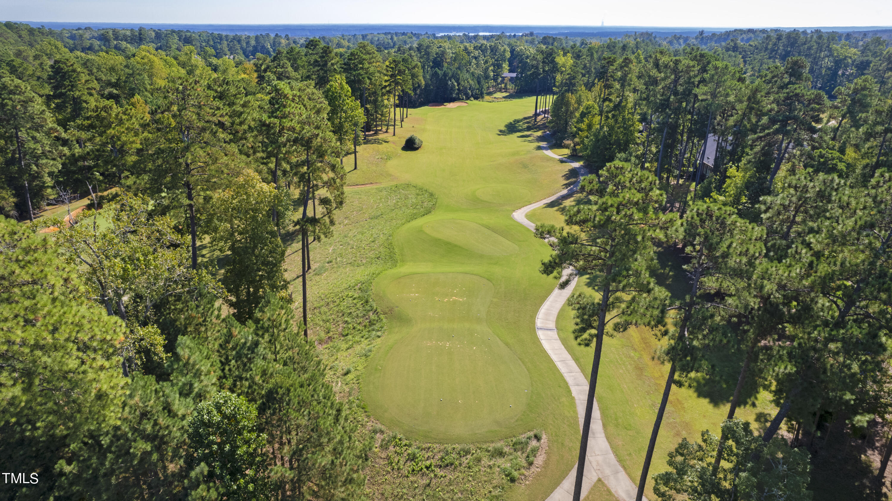 109 Forked Pine Court