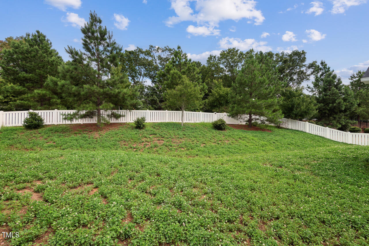 2022 Magnolia Tree Lane