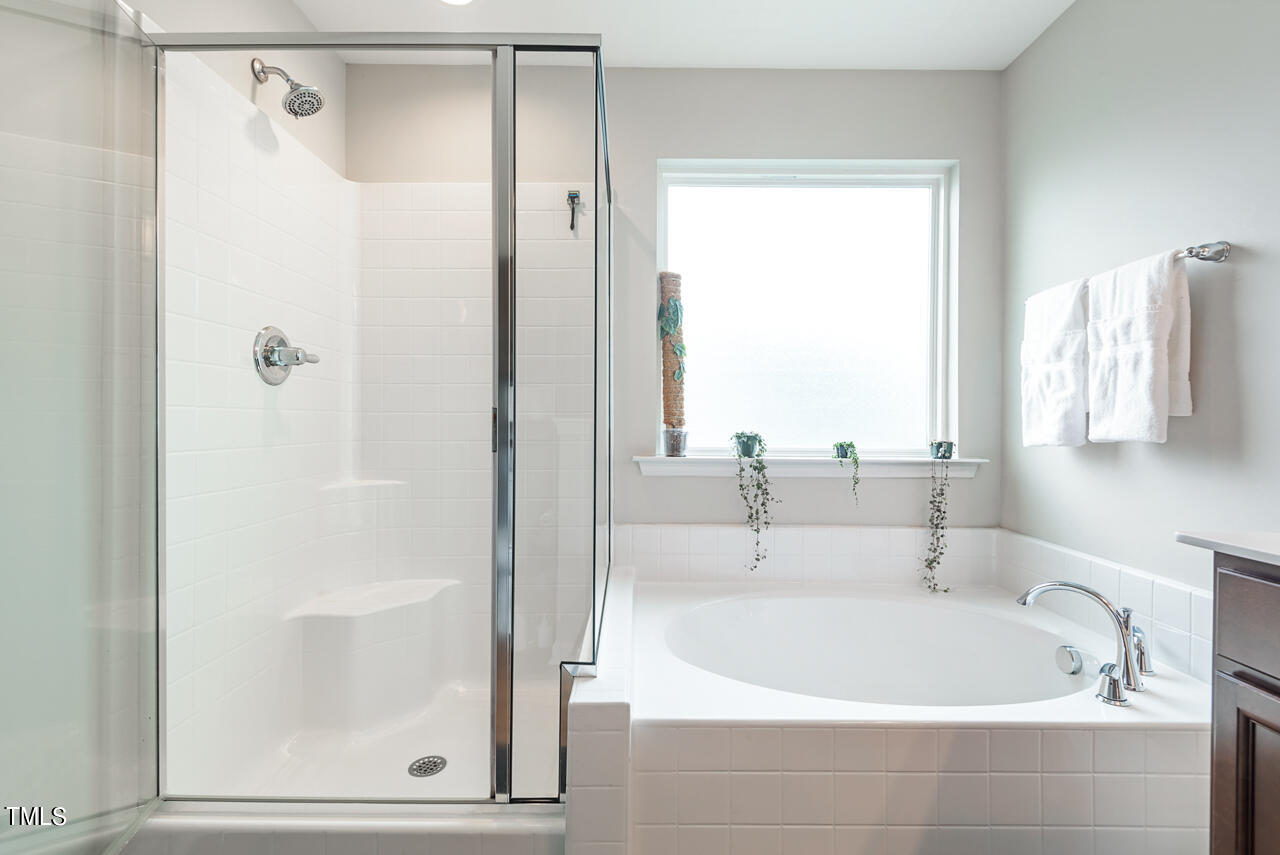 2022 Magnolia Tree Lane