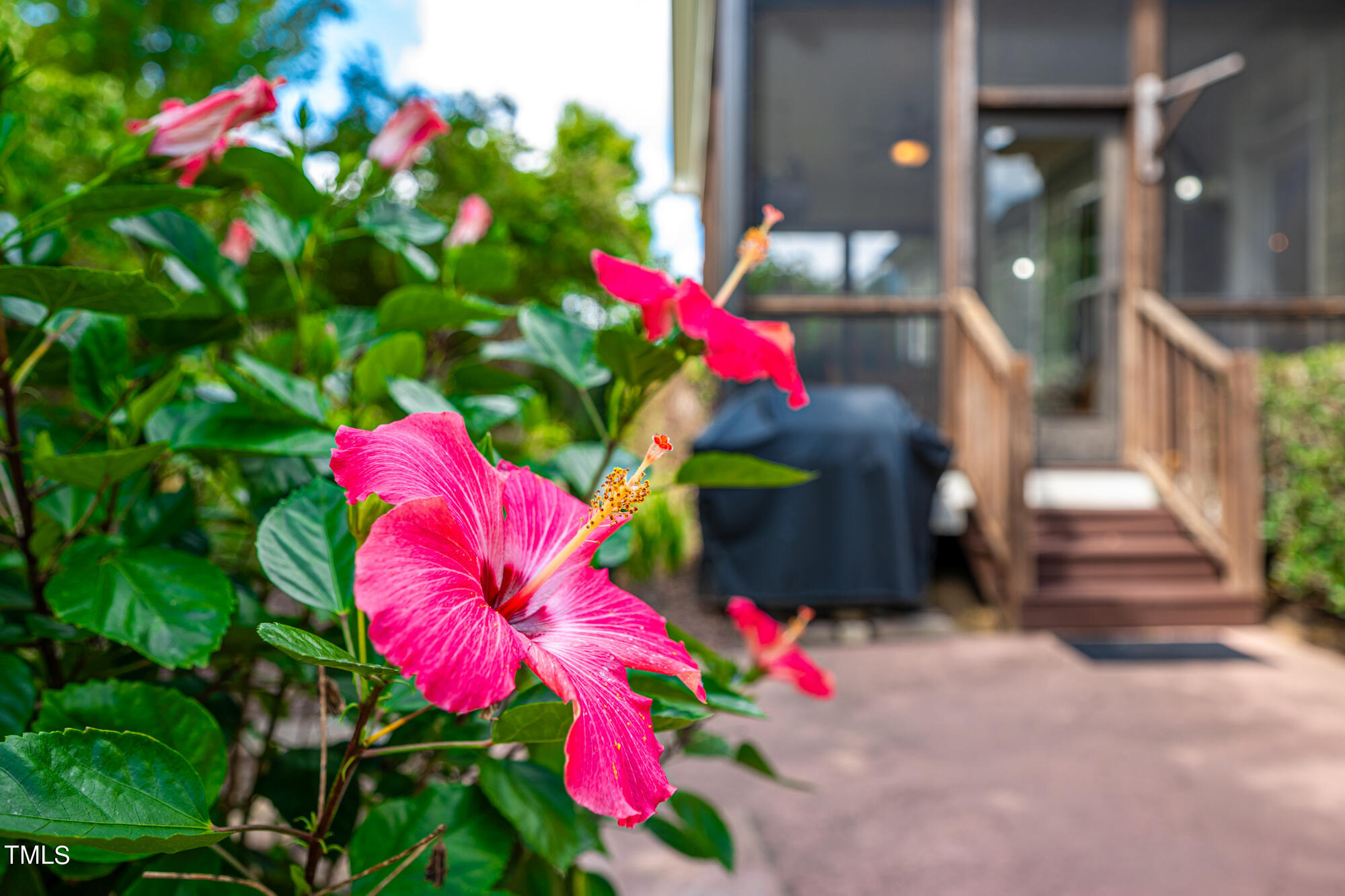 589 Bennett Mountain