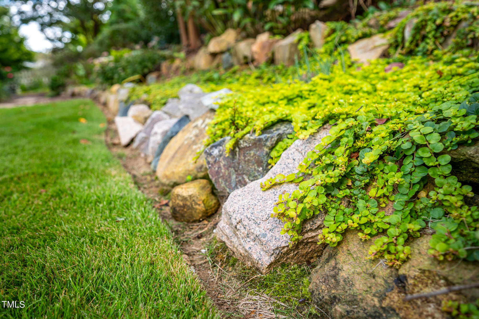 589 Bennett Mountain