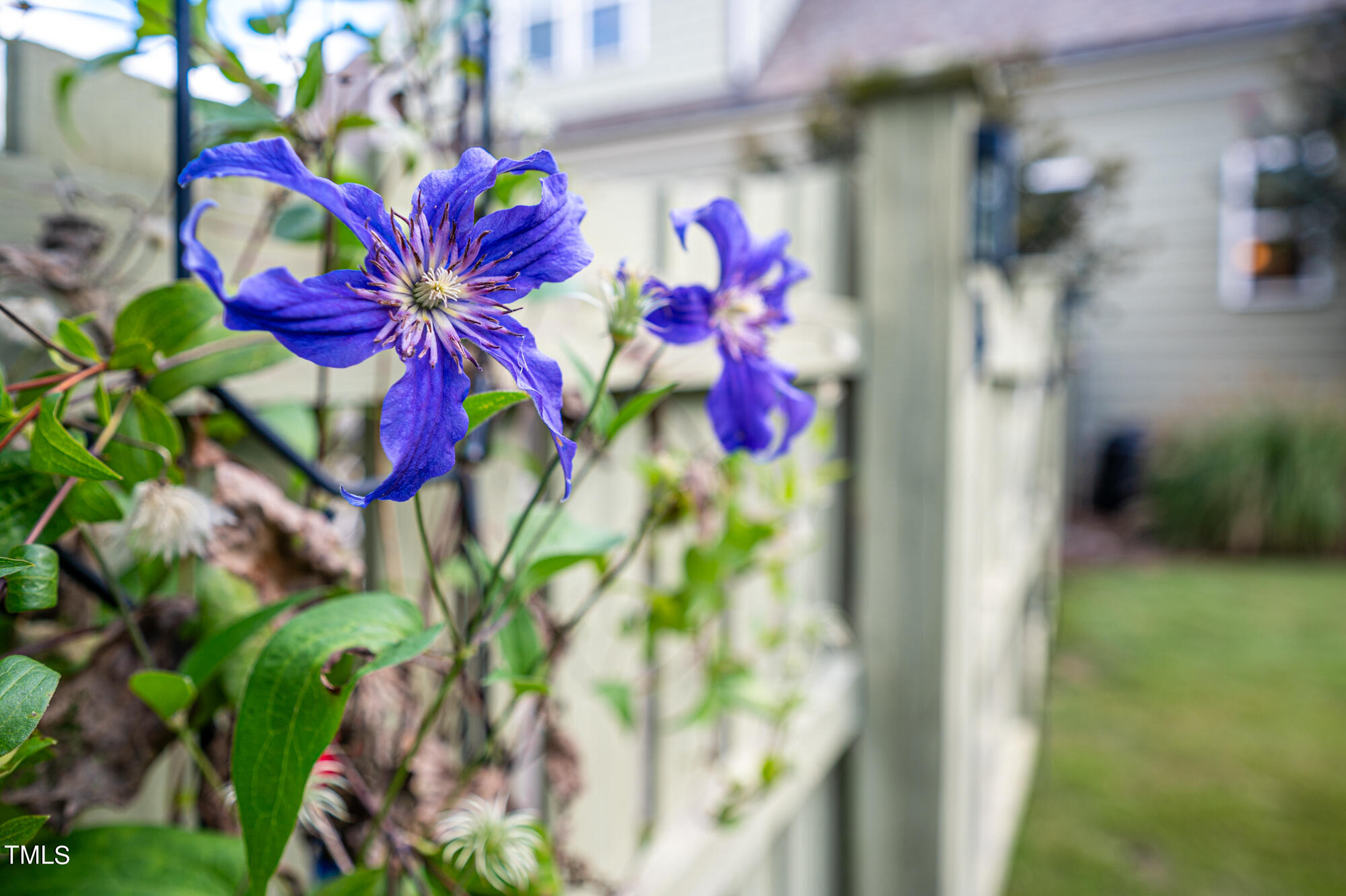 589 Bennett Mountain