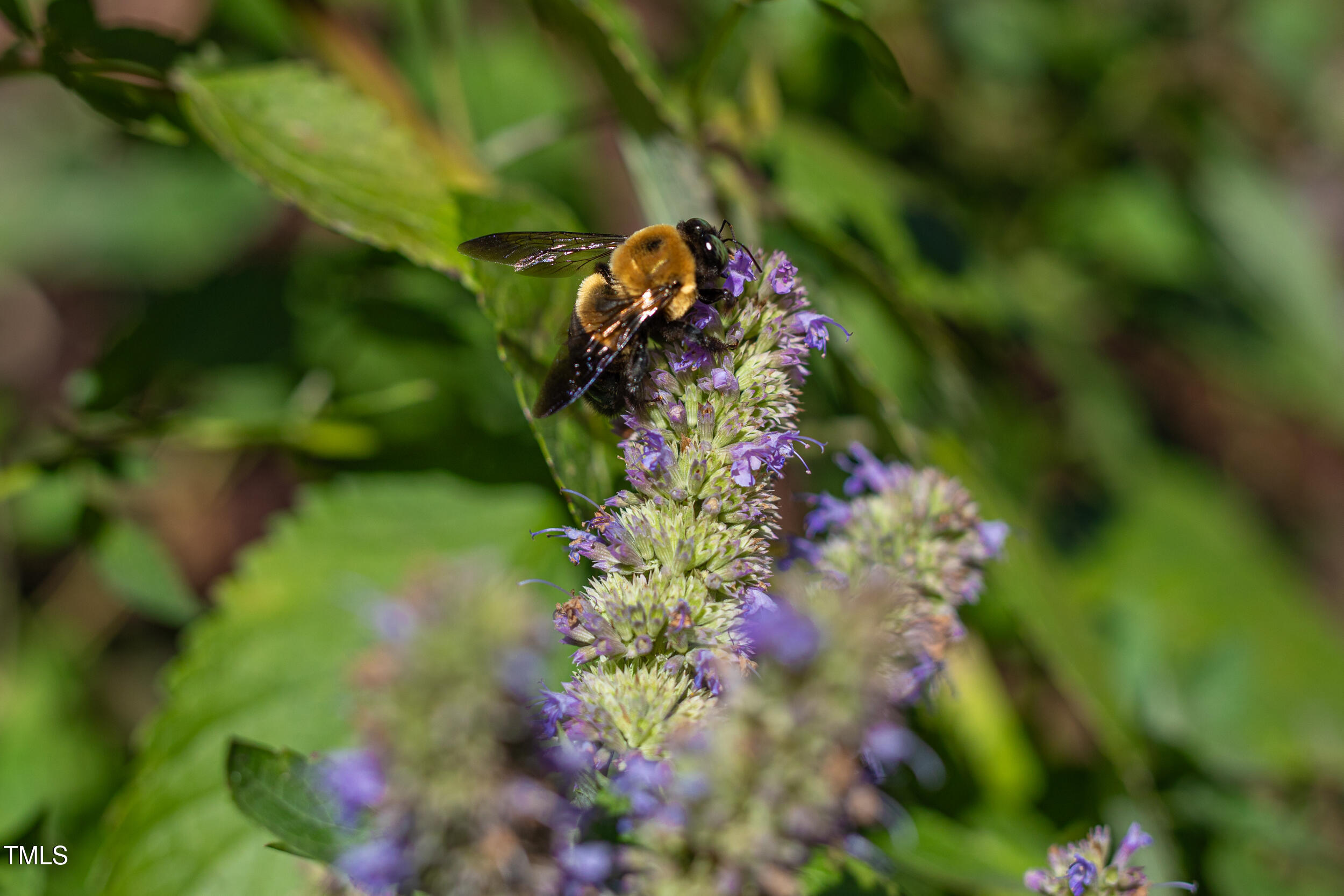 2106 Chapel Hill Road