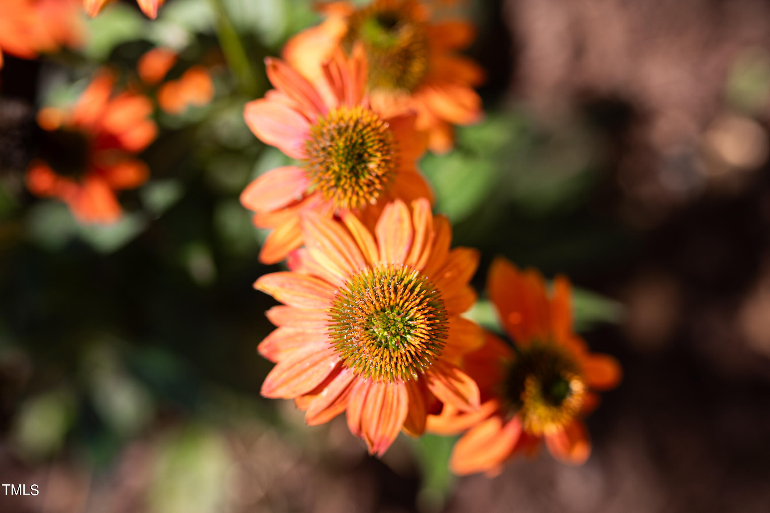 2106 Chapel Hill Road