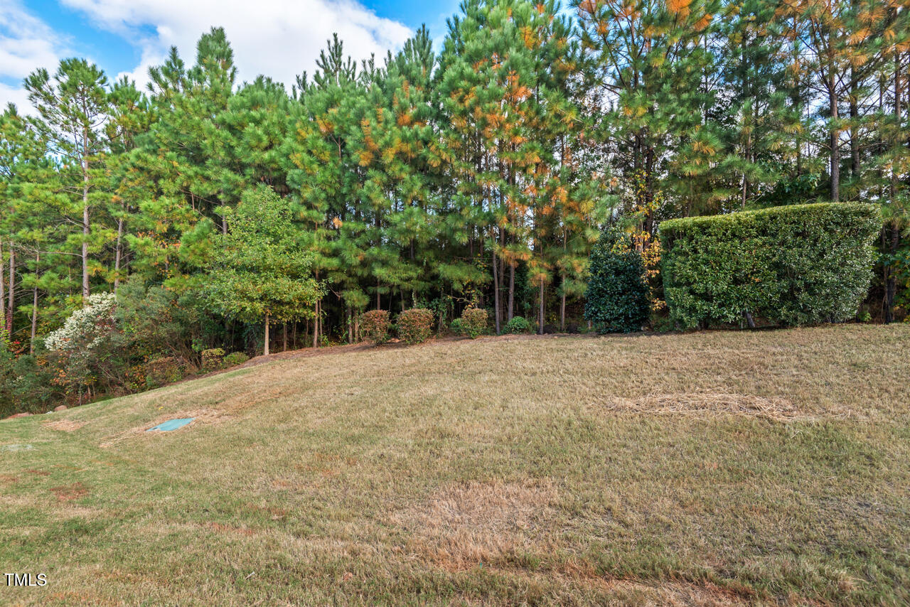 1102 Felman Road
