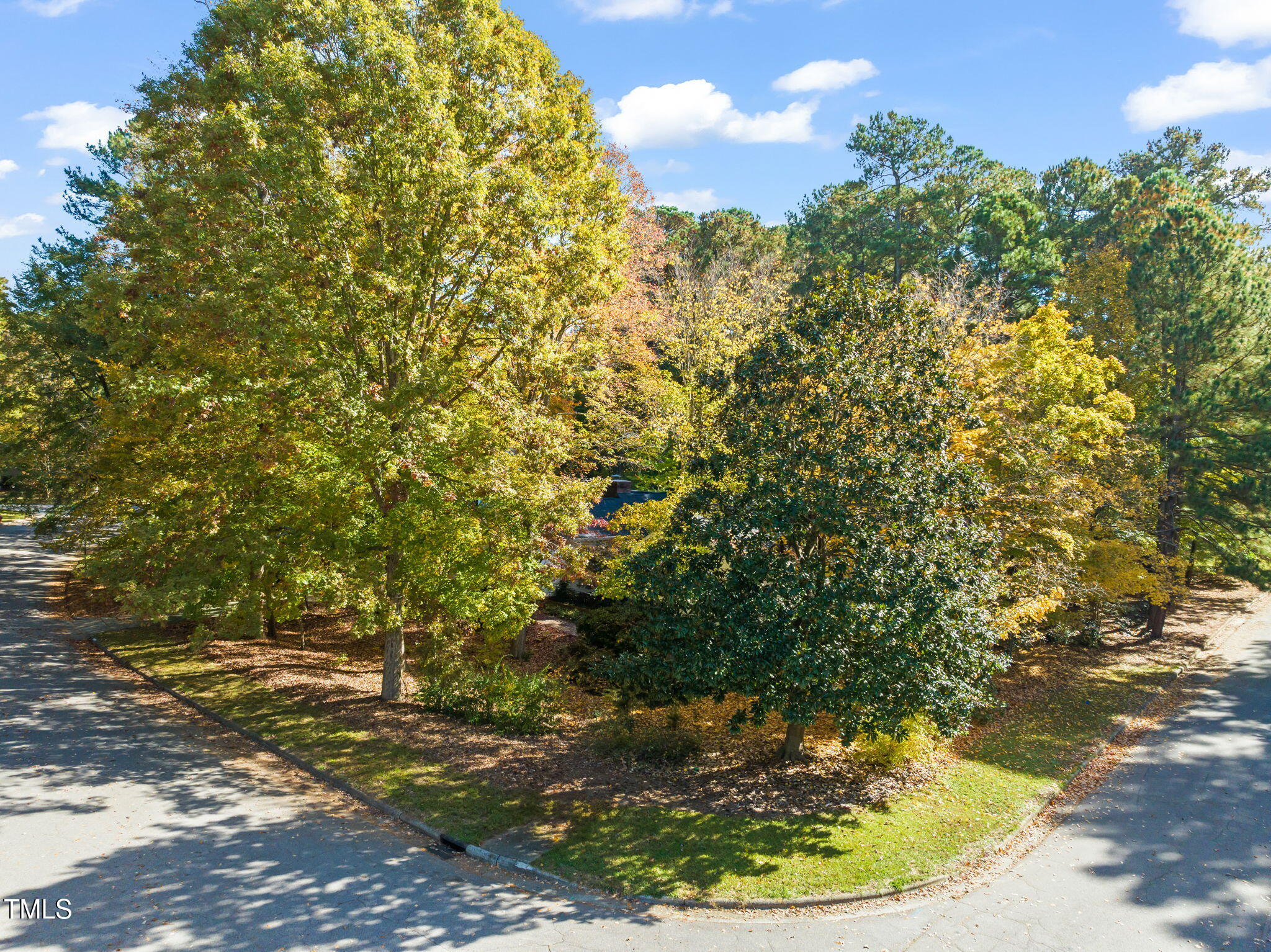 2209 Ridgefield Drive