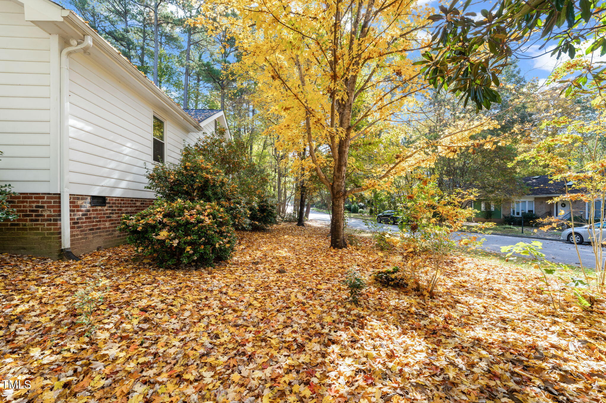 2209 Ridgefield Drive