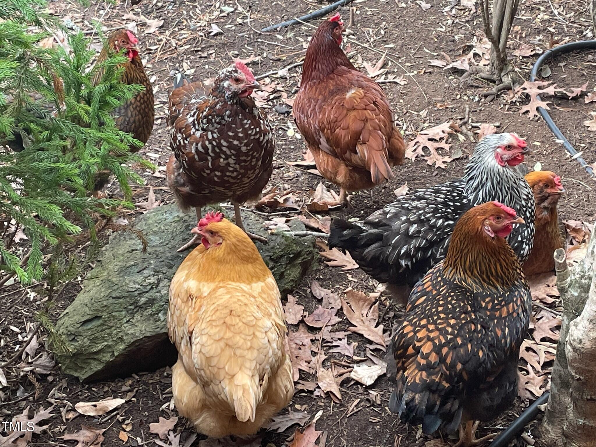 240 Running Deer Trail