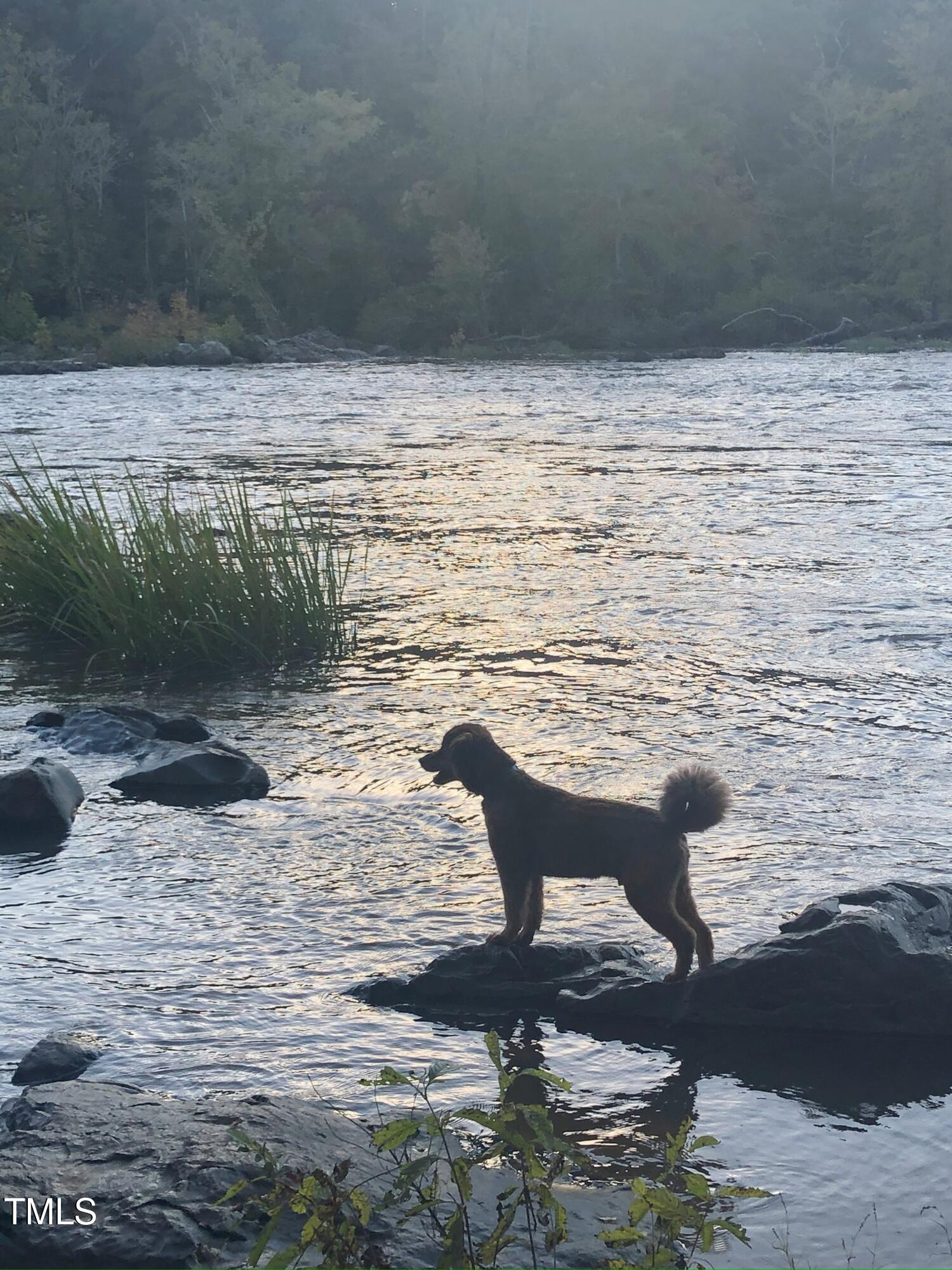 240 Running Deer Trail