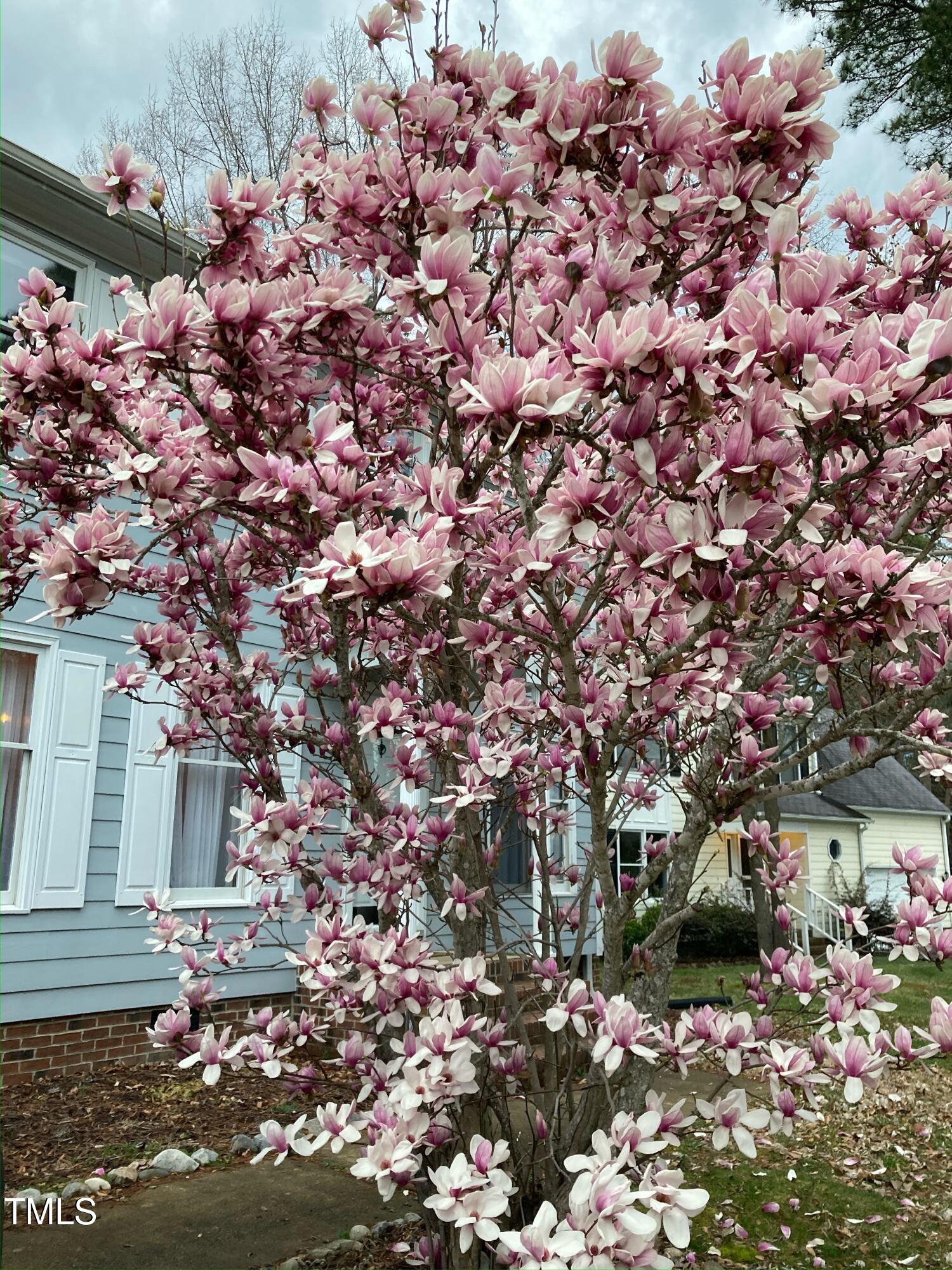 5 Bridgeport Drive