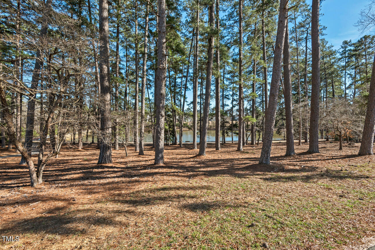 2128 Arborwood Drive