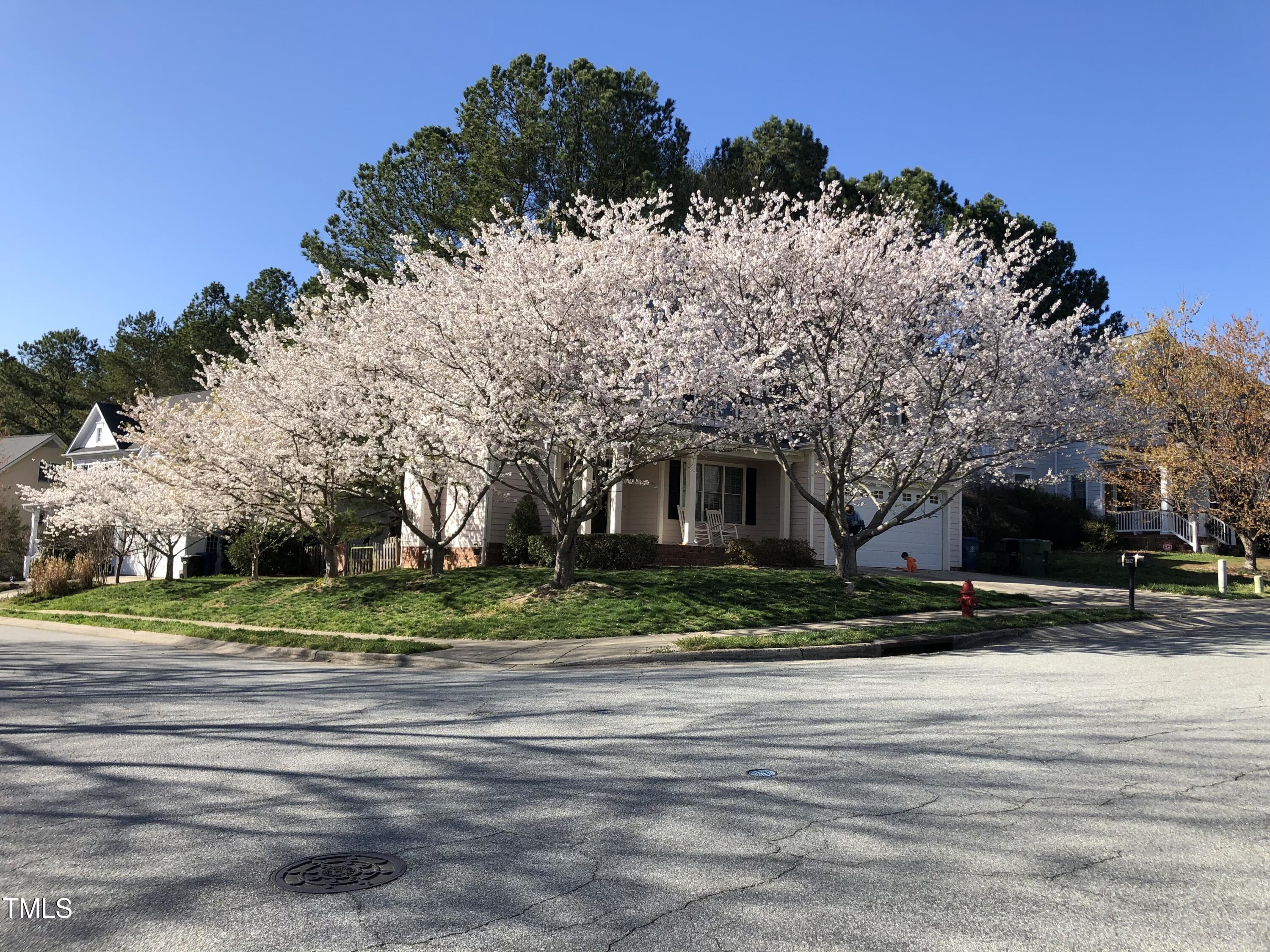 2812 Ashland Drive